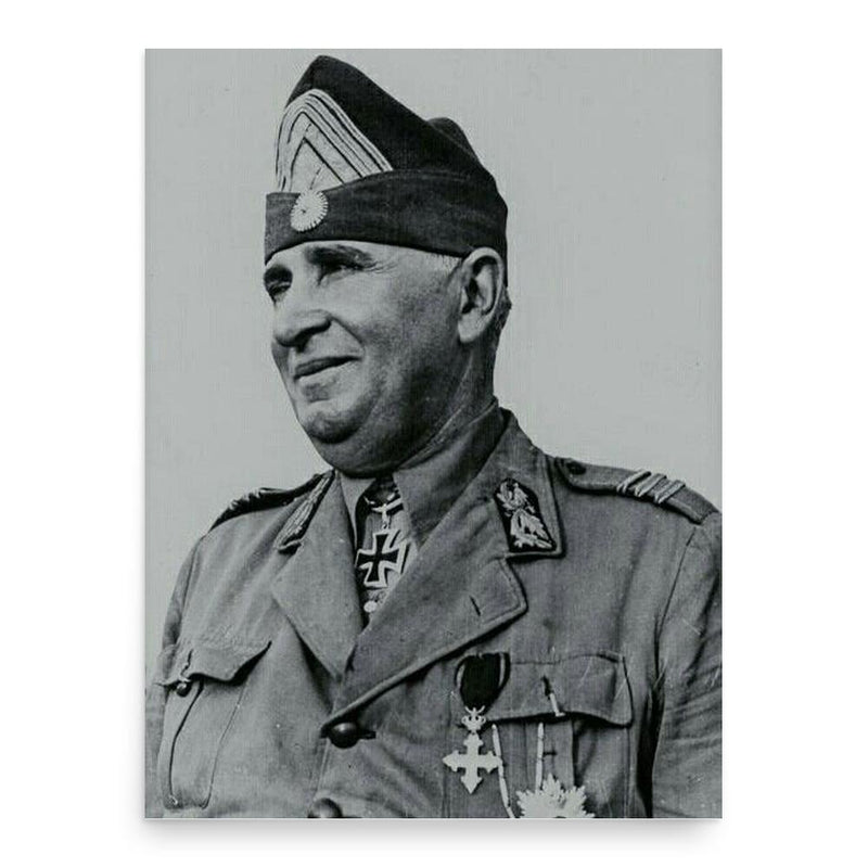 Corneliu Dragalina poster print, in size 18x24 inches.