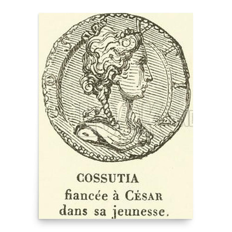 Cossutia poster print, in size 18x24 inches.