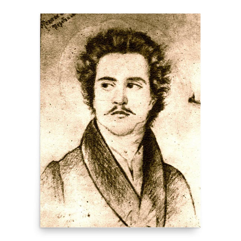 Costache Aristia poster print, in size 18x24 inches.