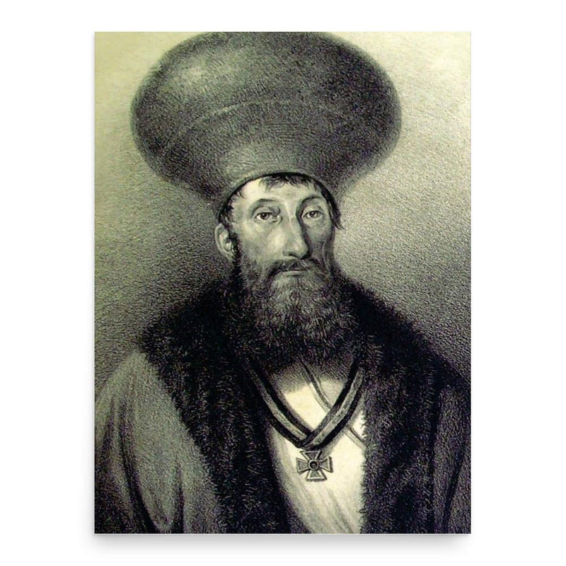 Costache Conachi poster print, in size 18x24 inches.
