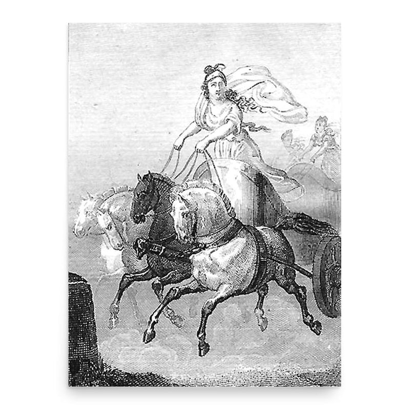 Cynisca poster print, in size 18x24 inches.