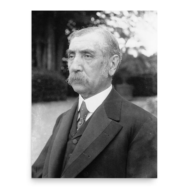 Damat Ferid Pasha poster print, in size 18x24 inches.