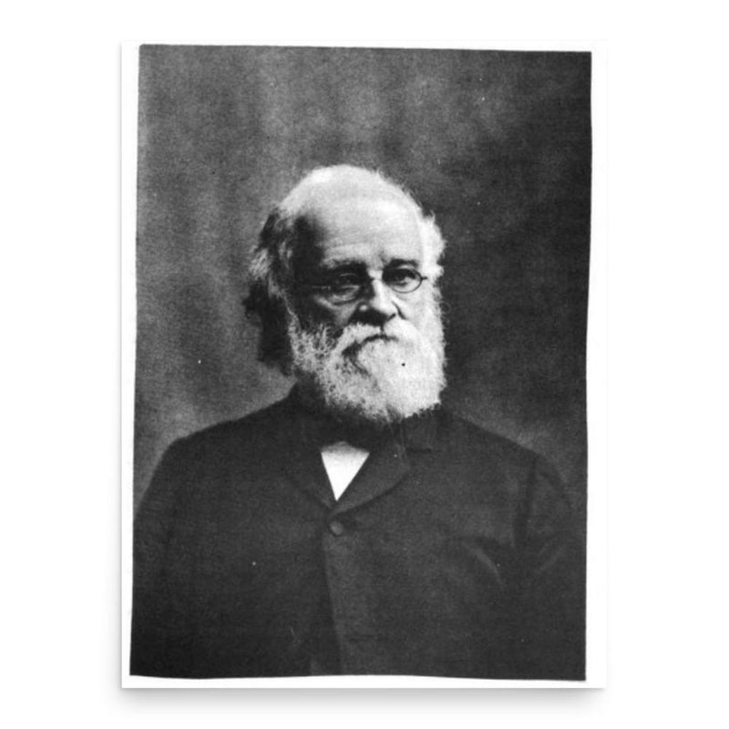 Daniel Bushnell poster print, in size 18x24 inches.