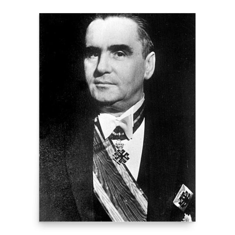 Daniel Ciugureanu poster print, in size 18x24 inches.