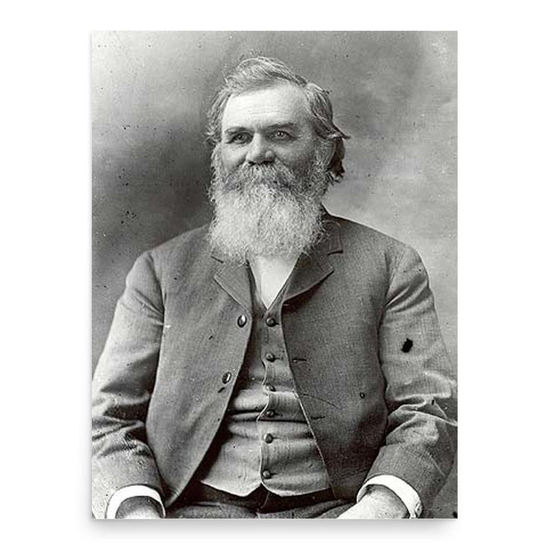 Daniel David Palmer poster print, in size 18x24 inches.