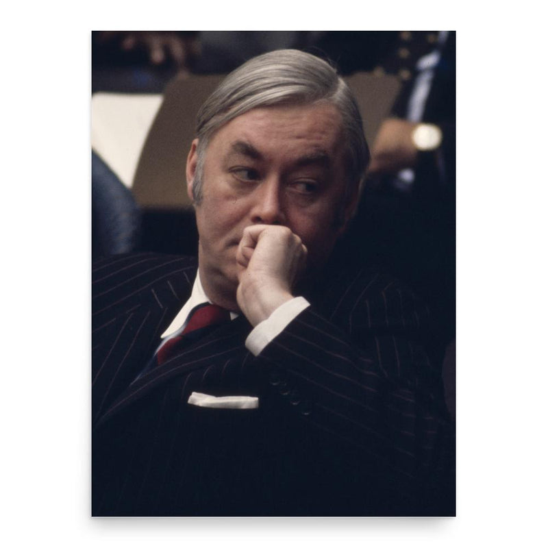 Daniel Patrick Moynihan poster print, in size 18x24 inches.