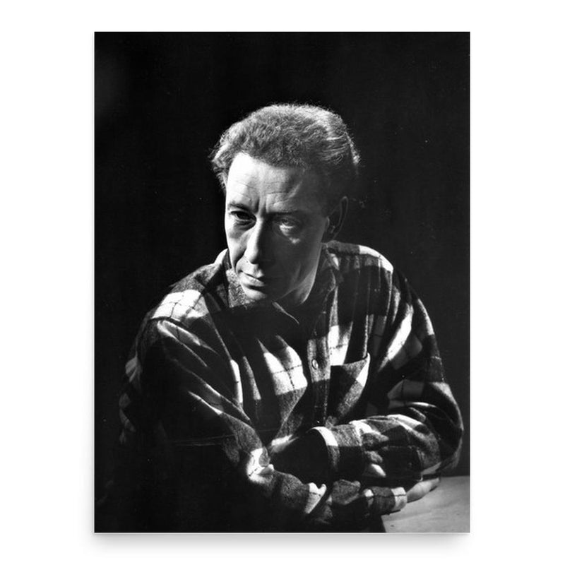 Daniel Sorano poster print, in size 18x24 inches.