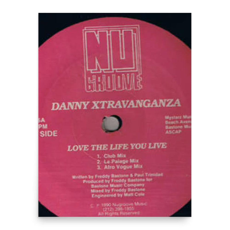 Danni Xtravaganza poster print, in size 18x24 inches.
