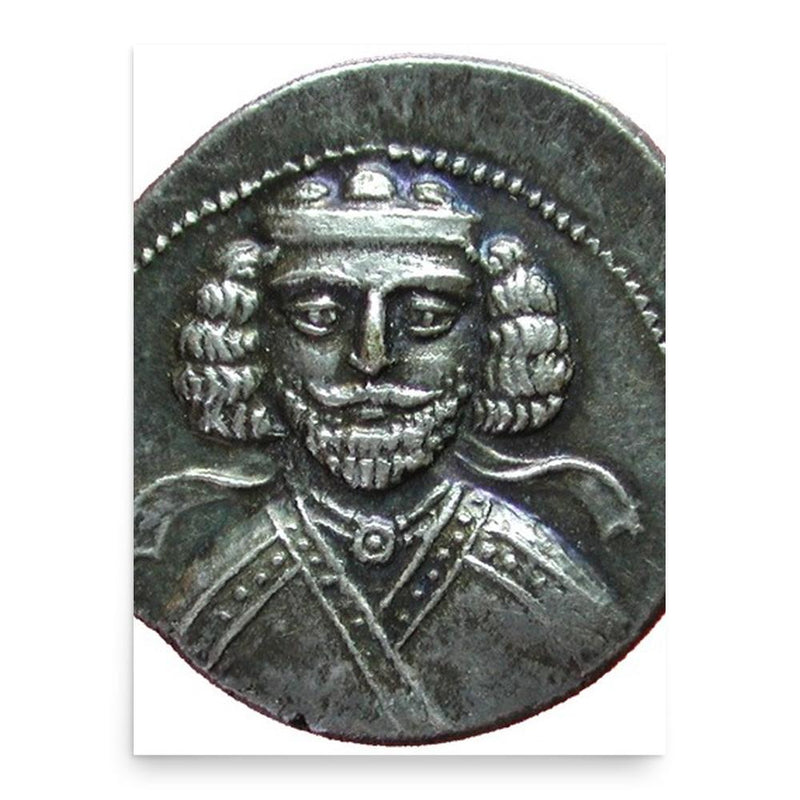 Darius I of Media Atropatene poster print, in size 18x24 inches.