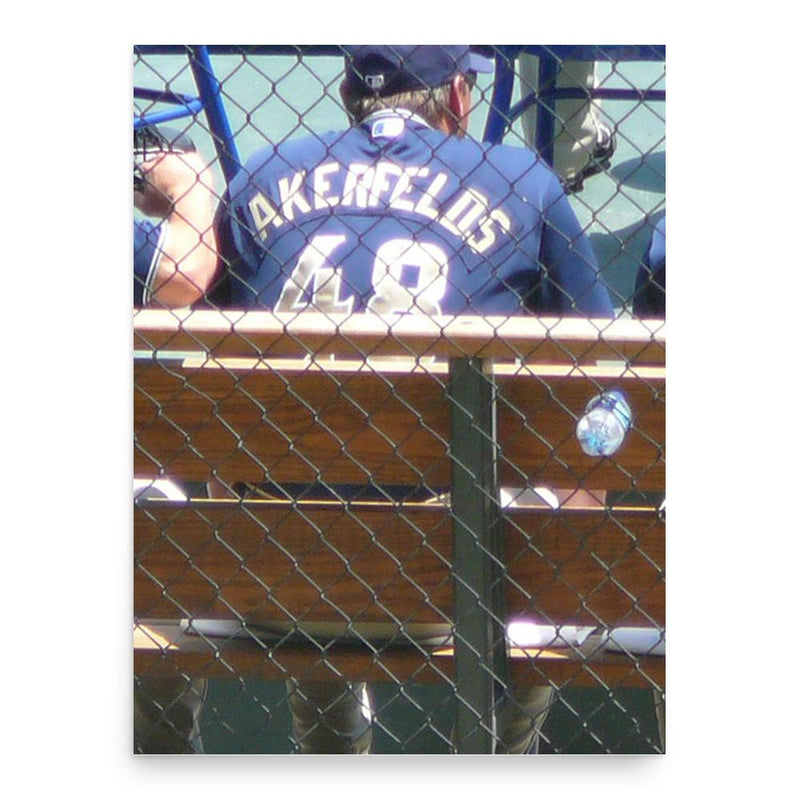 Darrel Akerfelds poster print, in size 18x24 inches.