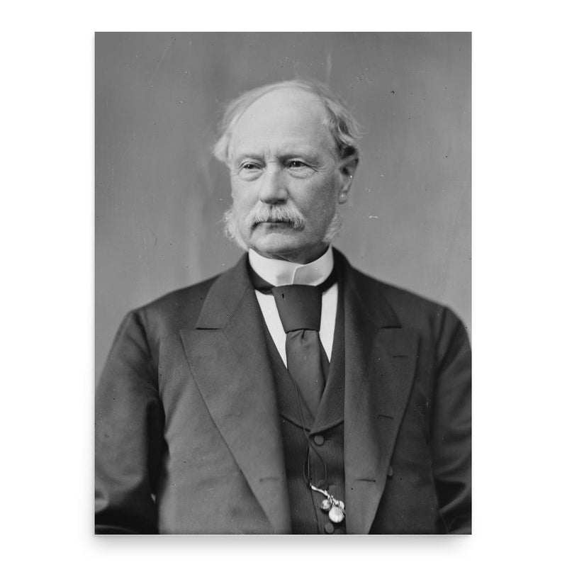David Dudley Field II poster print, in size 18x24 inches.