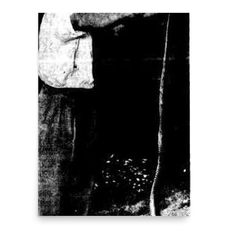 David Fleay poster print, in size 18x24 inches.