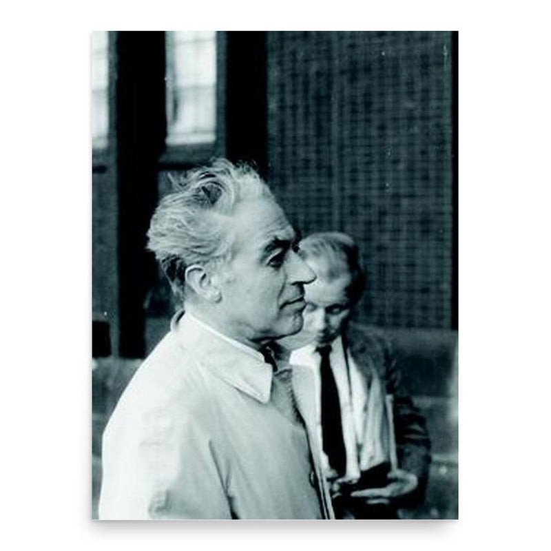David Gilbarg poster print, in size 18x24 inches.