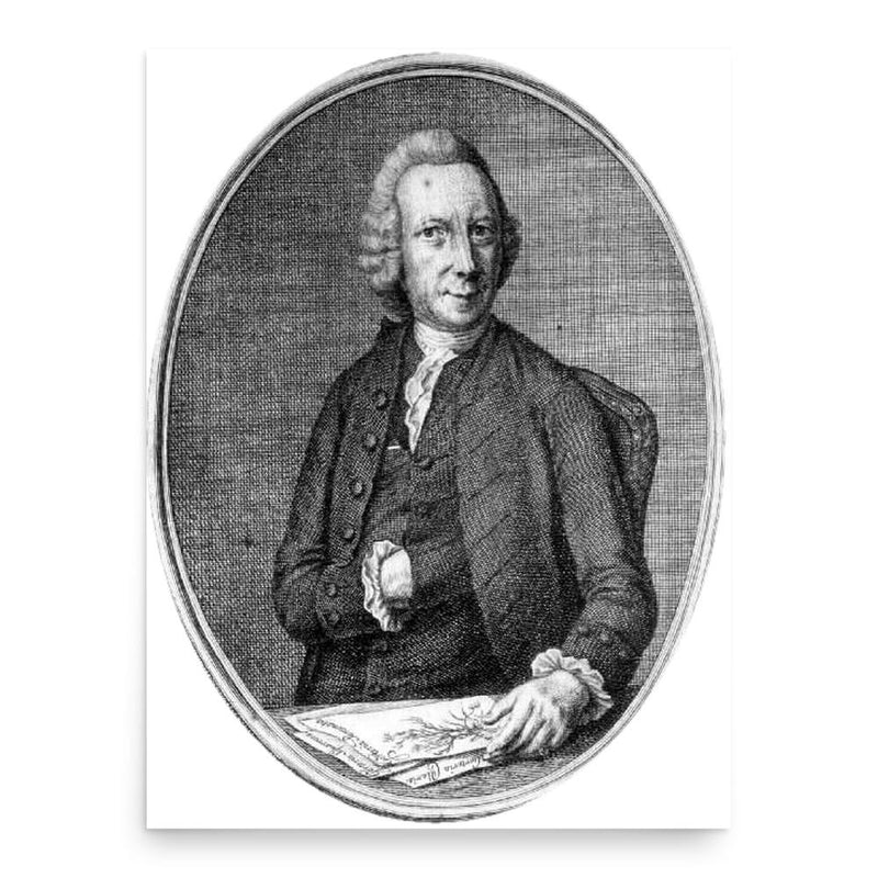 David de Gorter poster print, in size 18x24 inches.