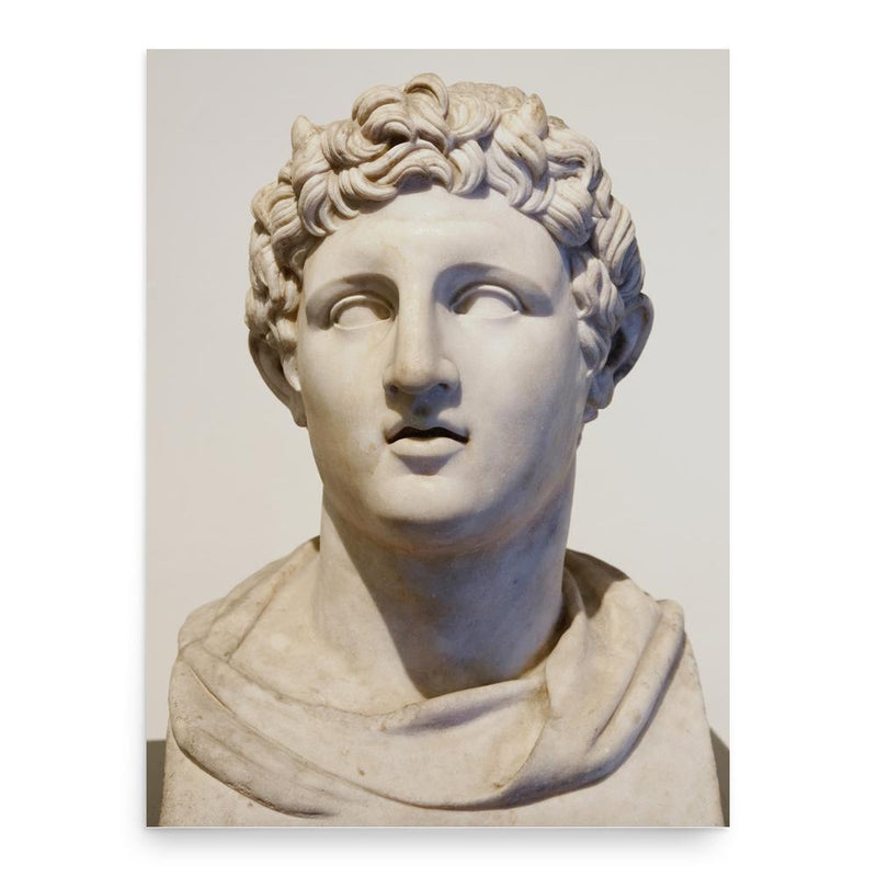 Demetrius I of Macedon poster print, in size 18x24 inches.