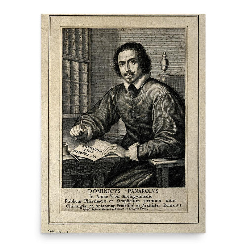 Domenico Panaroli poster print, in size 18x24 inches.