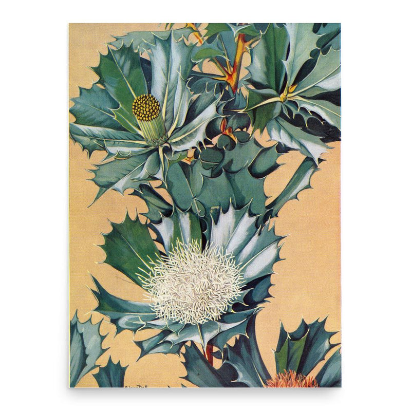 Edgar Dell poster print, in size 18x24 inches.