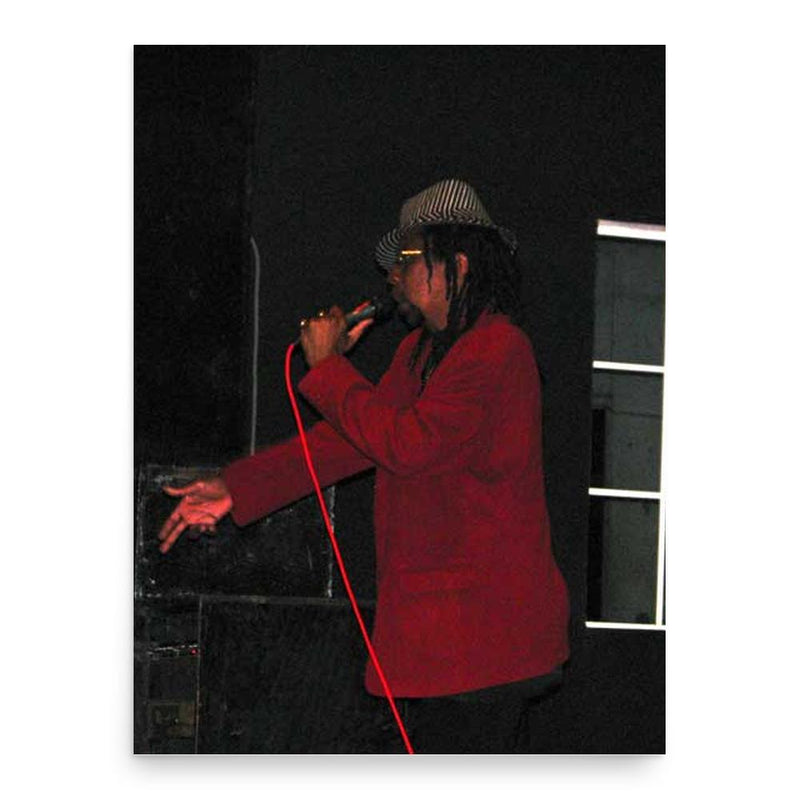 Edi Fitzroy poster print, in size 18x24 inches.