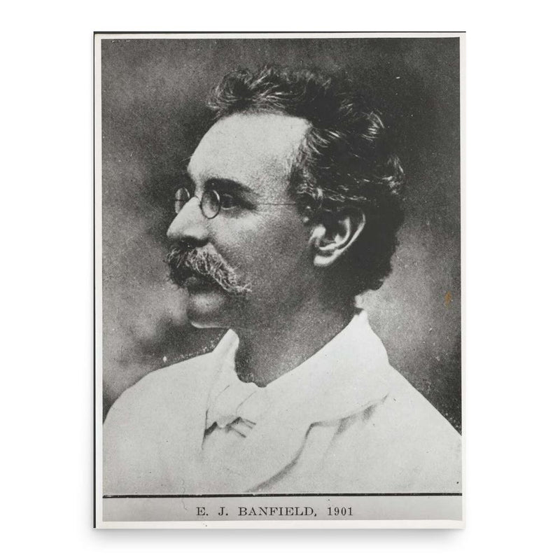 Edmund James Banfield poster print, in size 18x24 inches.