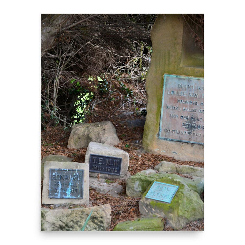 Edouard Espinosa poster print, in size 18x24 inches.