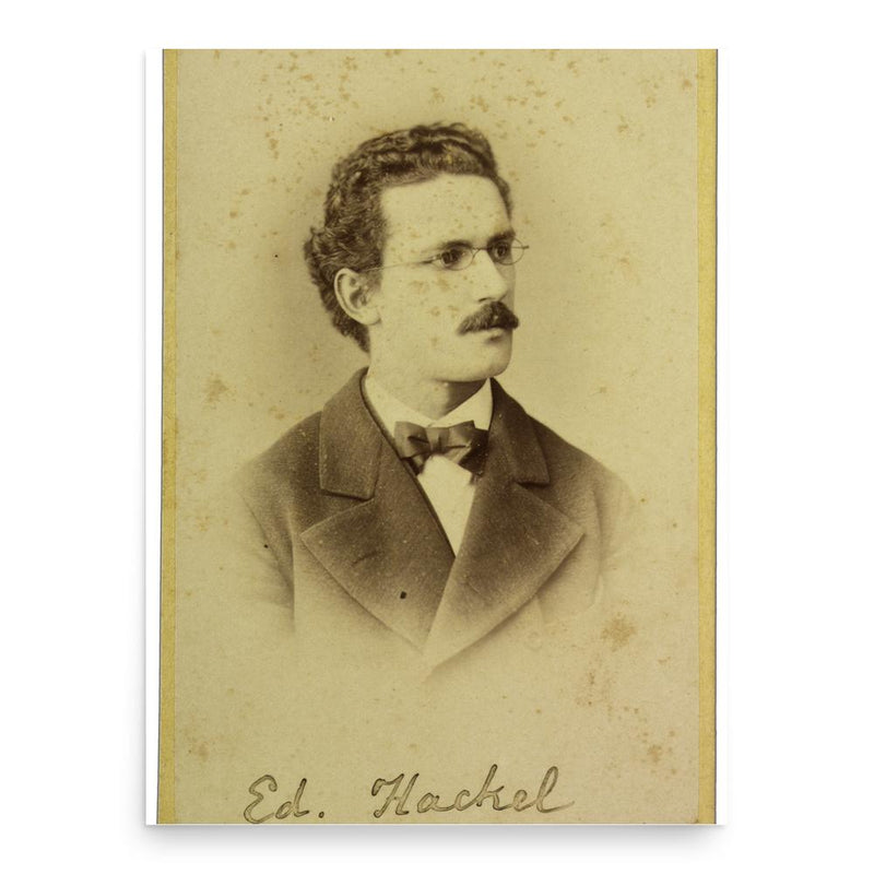 Eduard Hackel poster print, in size 18x24 inches.