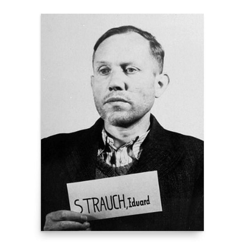 Eduard Strauch poster print, in size 18x24 inches.