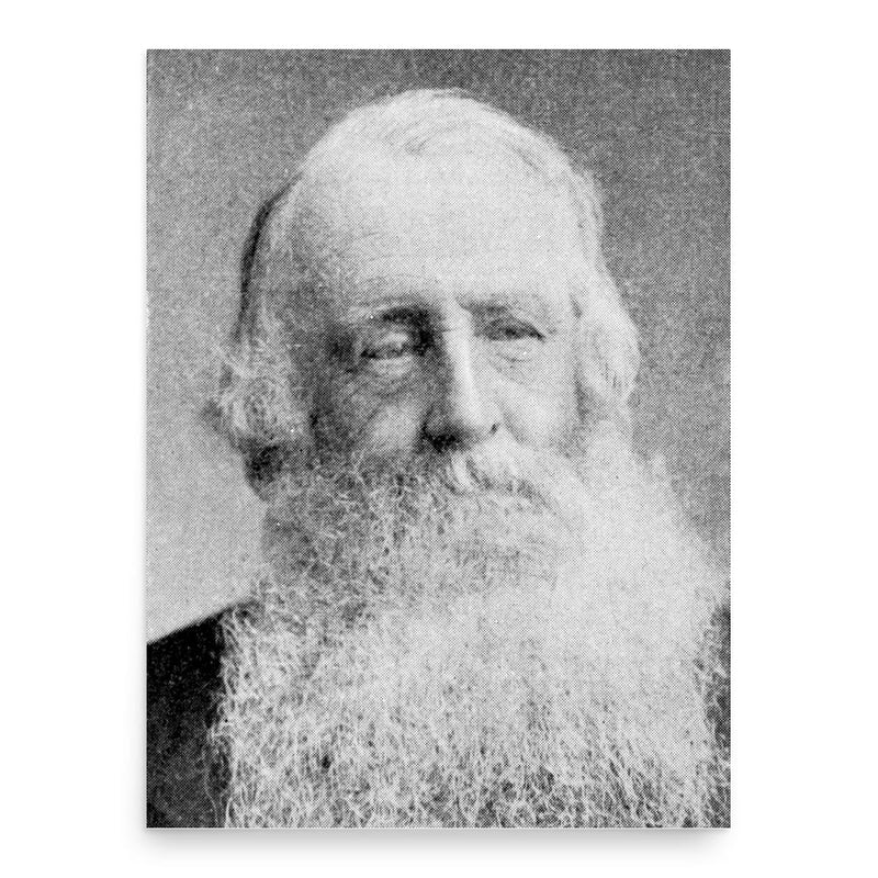 Edward Augustus Freeman poster print, in size 18x24 inches.