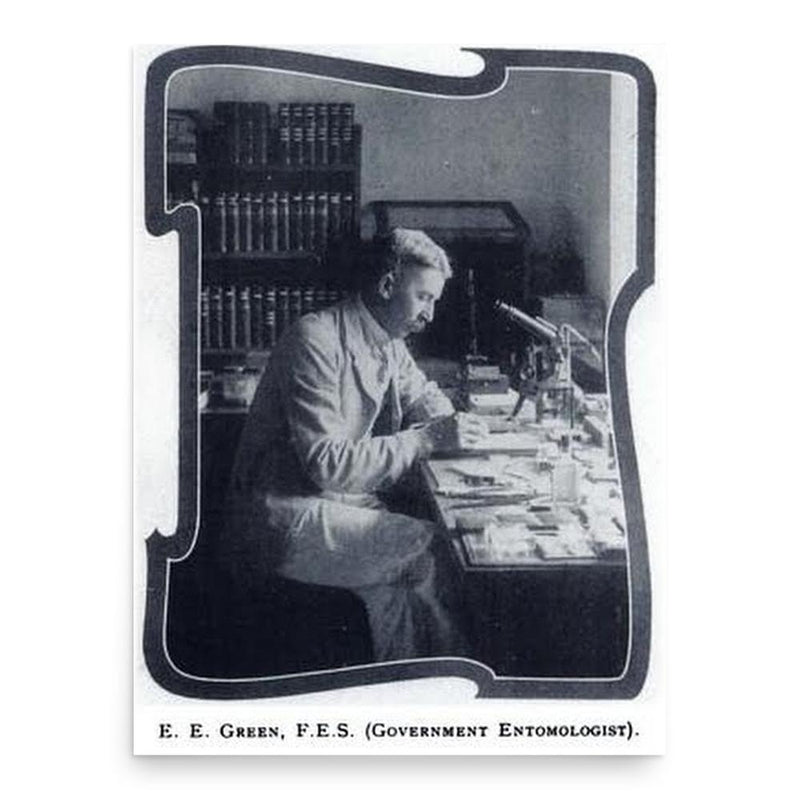 Edward Ernest Green poster print, in size 18x24 inches.