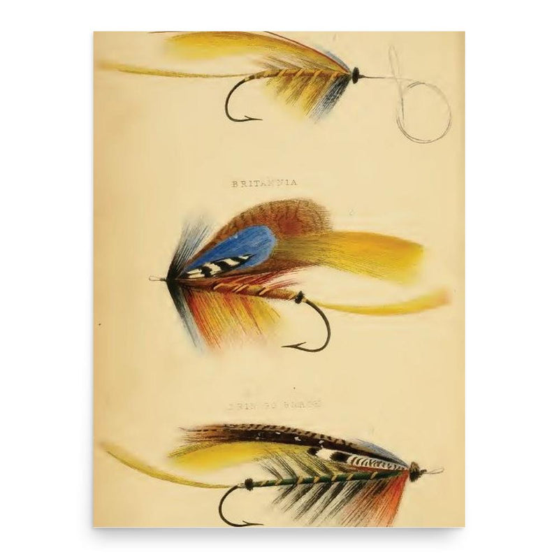 Edward Fitzgibbon poster print, in size 18x24 inches.