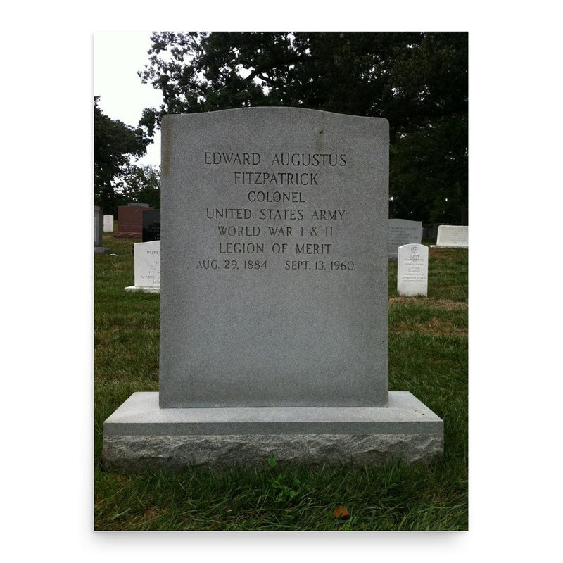 Edward Fitzpatrick poster print, in size 18x24 inches.