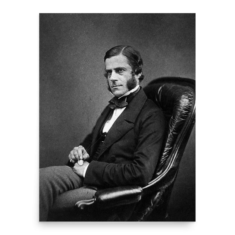 Edward Henry Sieveking poster print, in size 18x24 inches.