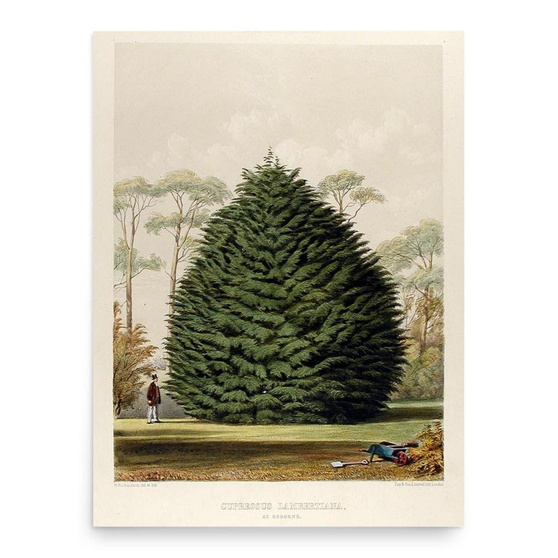 Edward James Ravenscroft poster print, in size 18x24 inches.