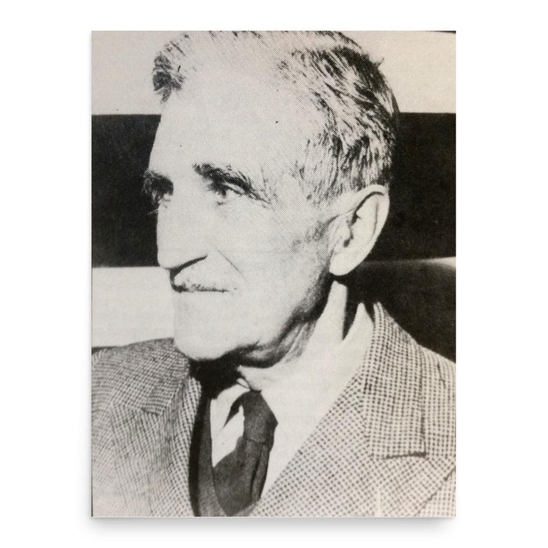 Edward MacLysaght poster print, in size 18x24 inches.