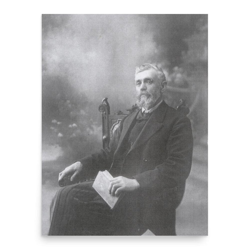 Edward Maes Llaned Owen poster print, in size 18x24 inches.