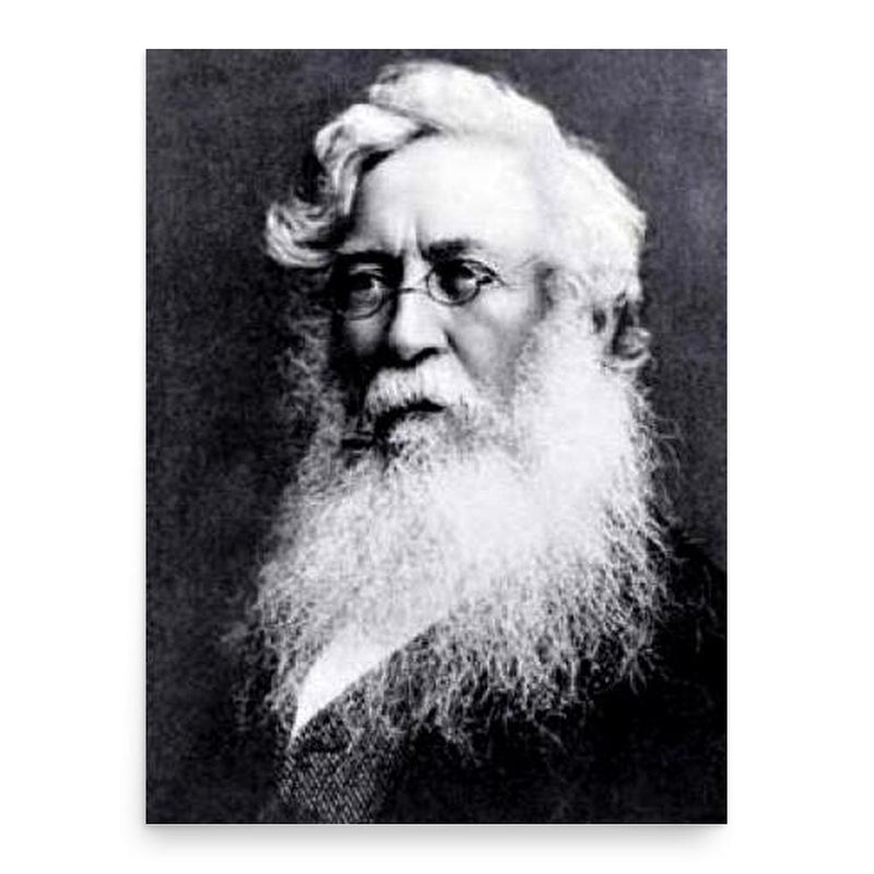 Edward Shirley Kennedy poster print, in size 18x24 inches.