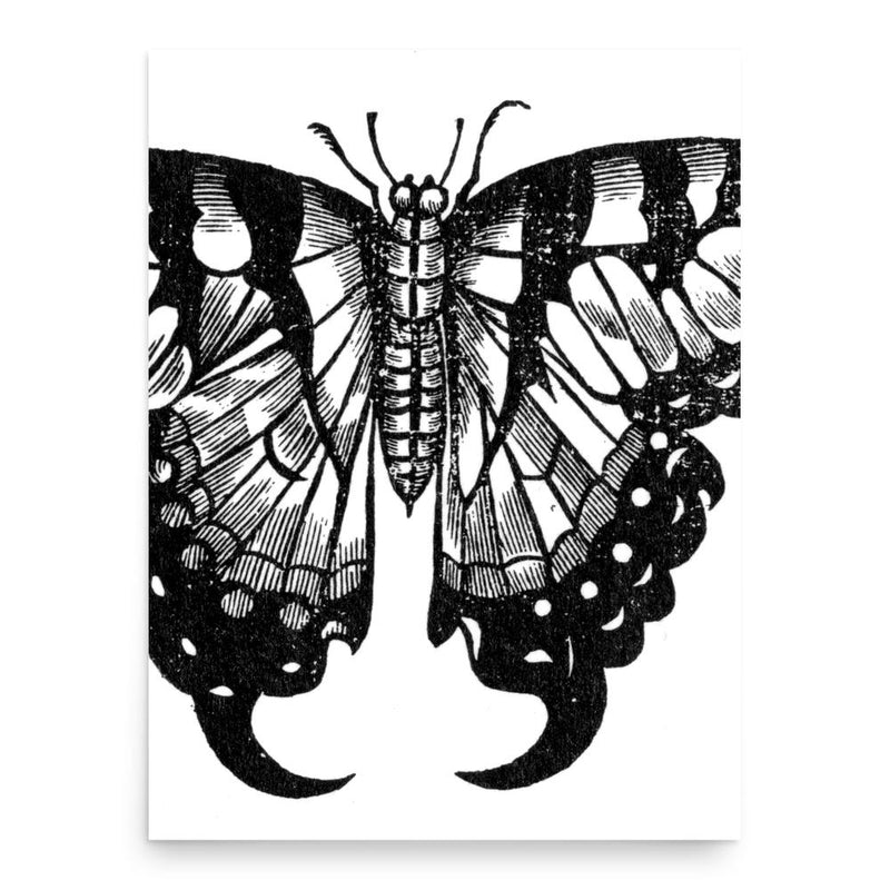 Edward Topsell poster print, in size 18x24 inches.