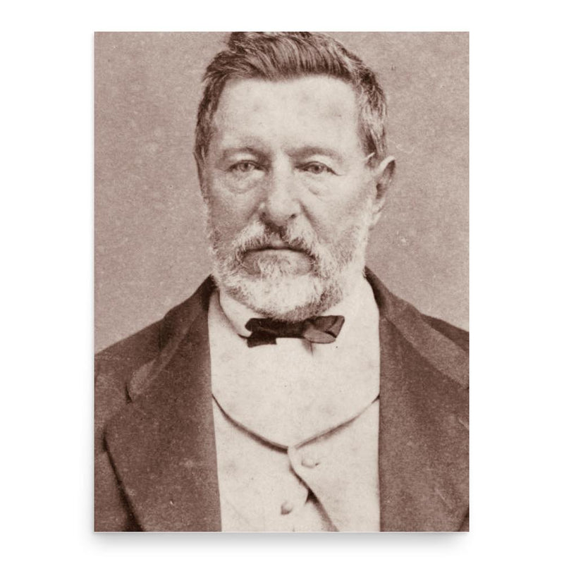 Edward Vischer poster print, in size 18x24 inches.