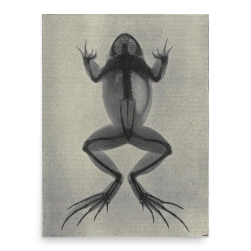 Edward Waymouth Reid poster print, in size 18x24 inches.