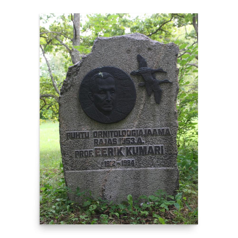 Eerik Kumari poster print, in size 18x24 inches.