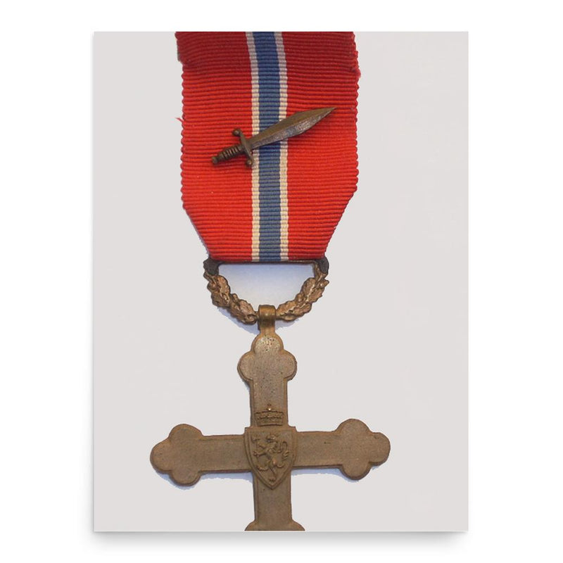 Einar Skinnarland poster print, in size 18x24 inches.