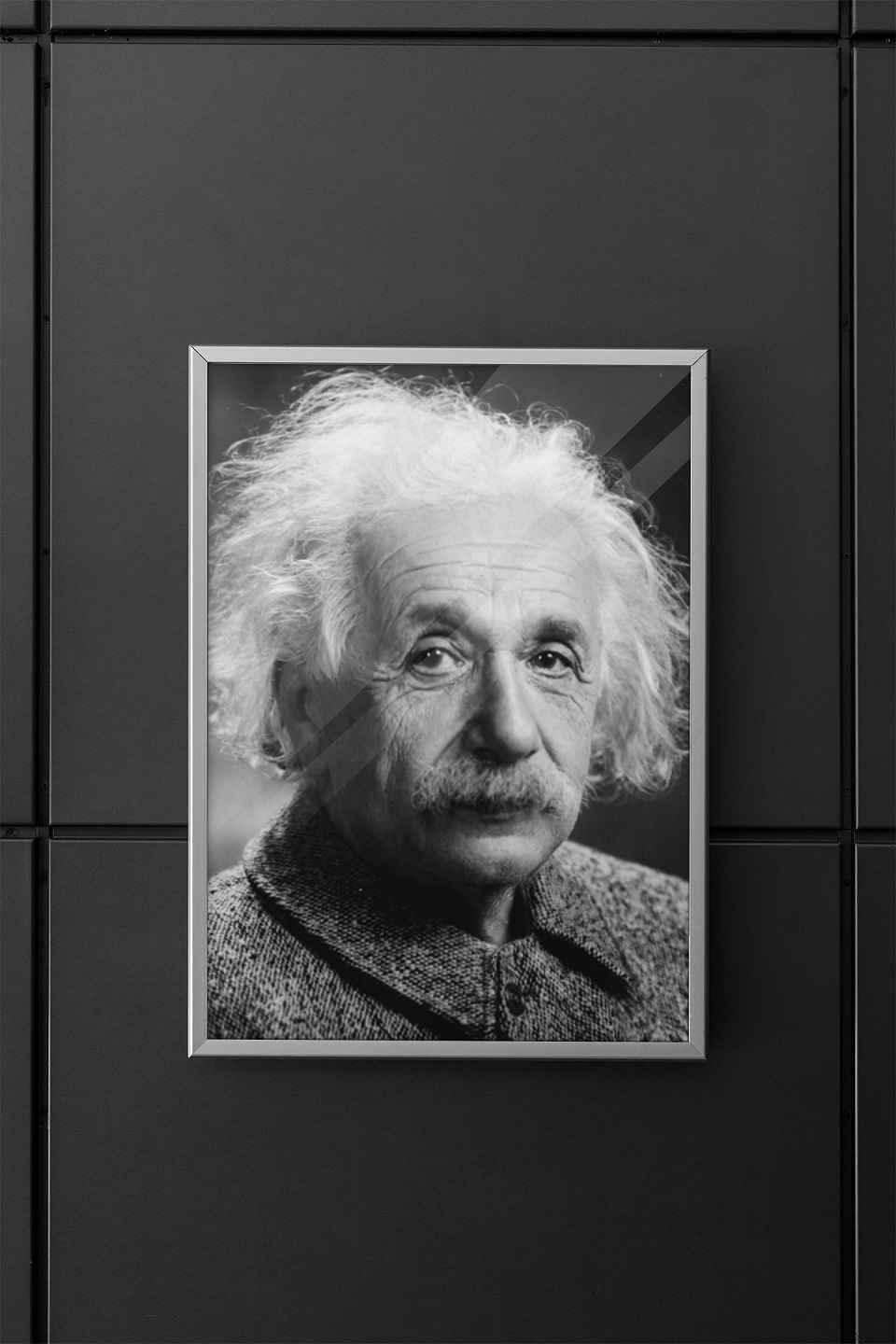 Poster case containing an Einstein poster mounted on a modern wall.