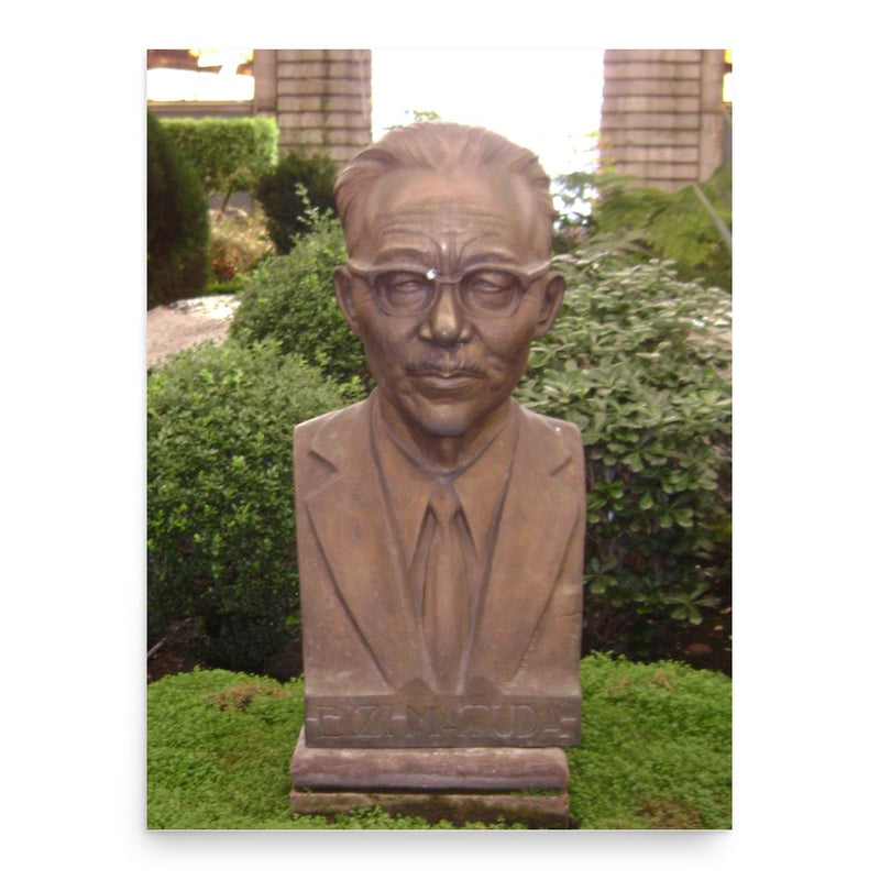 Eizi Matuda poster print, in size 18x24 inches.