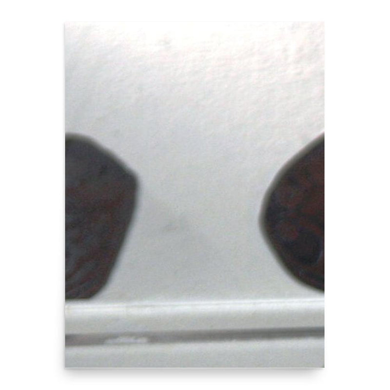 Eldiguz poster print, in size 18x24 inches.