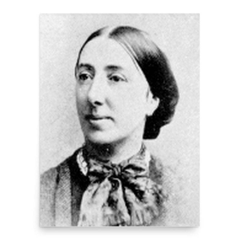 Eleanor Anne Ormerod poster print, in size 18x24 inches.