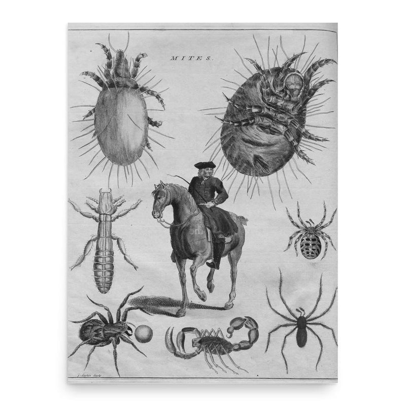 Eleazar Albin poster print, in size 18x24 inches.