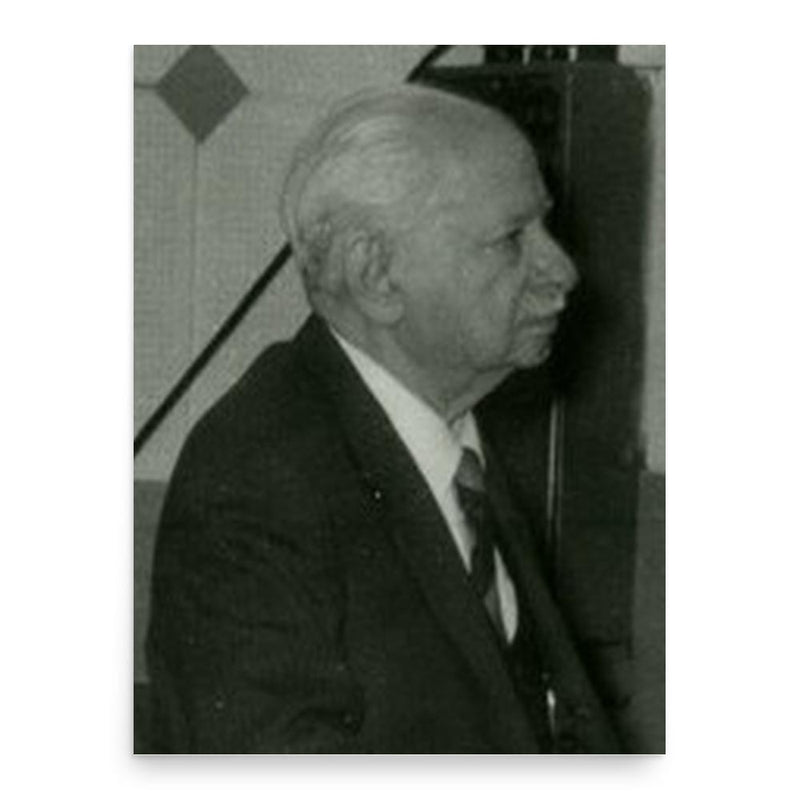 Elephter Andronikashvili poster print, in size 18x24 inches.