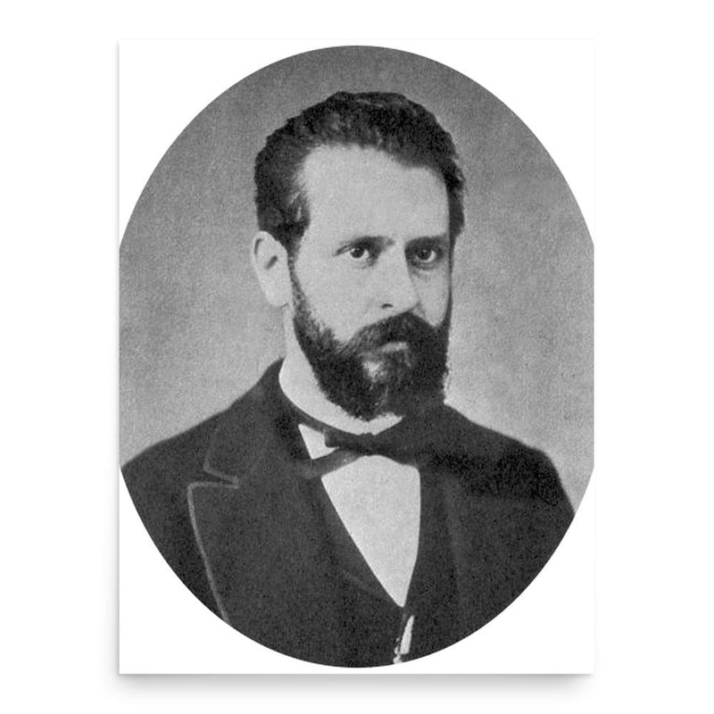 Eleuterio Maisonnave y Cutayar poster print, in size 18x24 inches.