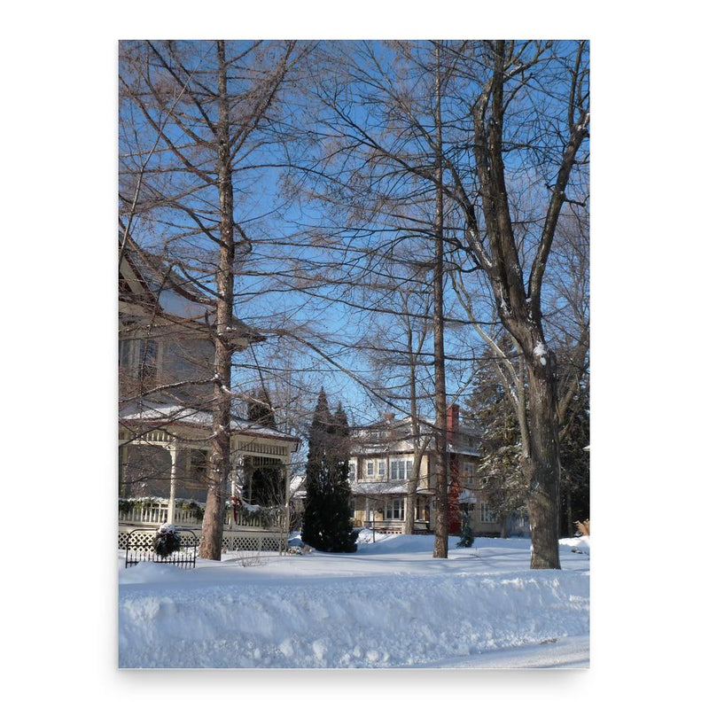 Eli Winch poster print, in size 18x24 inches.