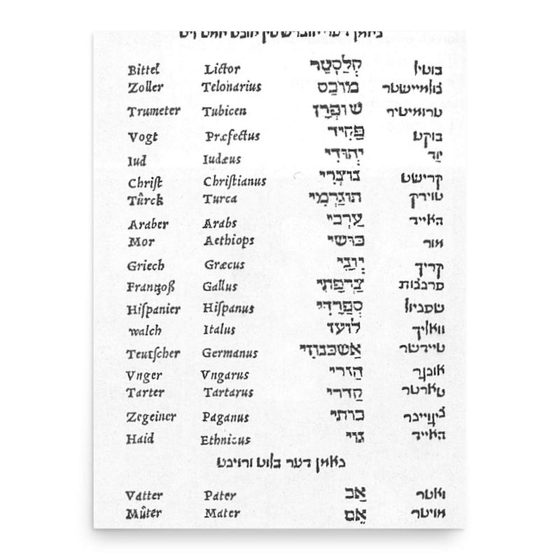 Elia Levita poster print, in size 18x24 inches.