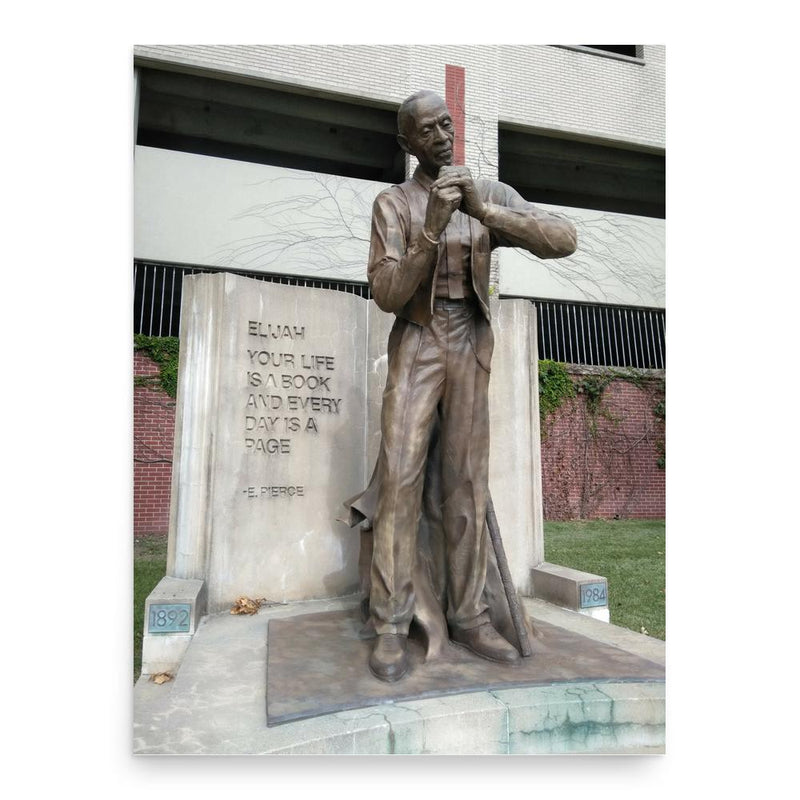 Elijah Pierce poster print, in size 18x24 inches.